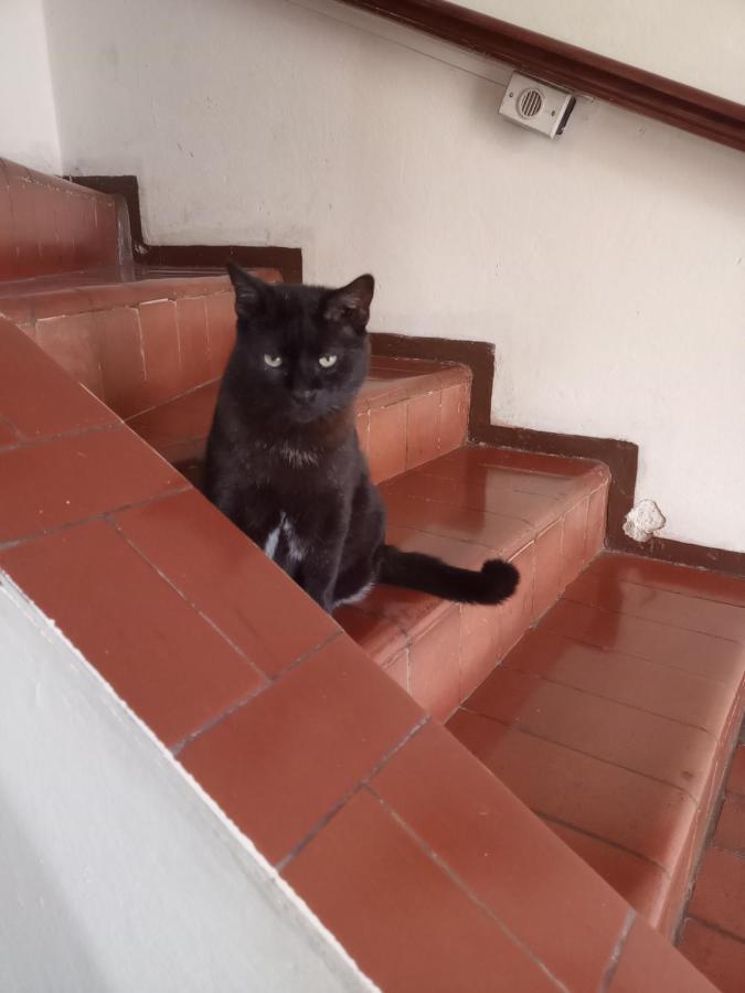 Pousada Lider Águas de São Pedro Esterno foto